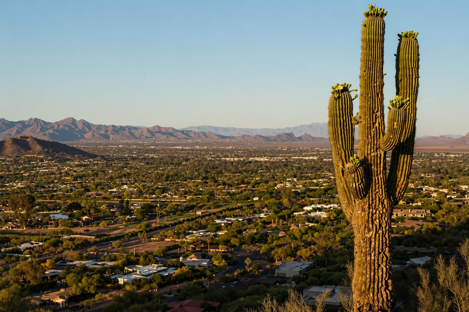 Sonoran Desert saguaro overlooking Paradise Valley neighborhoods with mountain ranges in the distance.